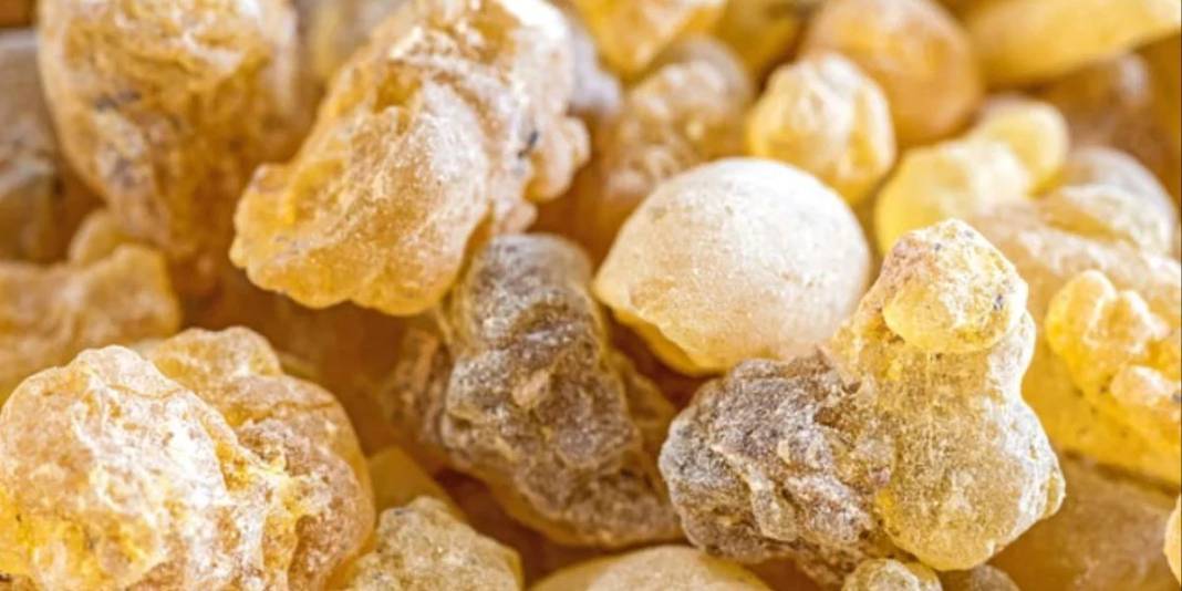 Aktarların stoklarını tüketen sakız! Zayıflamak isteyenlerin yeni trendi: Sadece çiğneyerek isteğiniz kiloya ulaşın 4